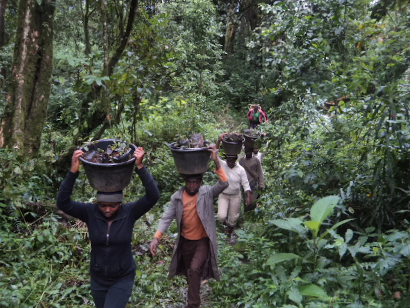 Protecting Nature in Cameroon by Centering Social Justice and Women Empowerment